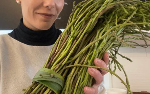 Asparagi